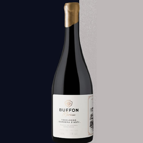 Vinho Mérica Barbera D'asti